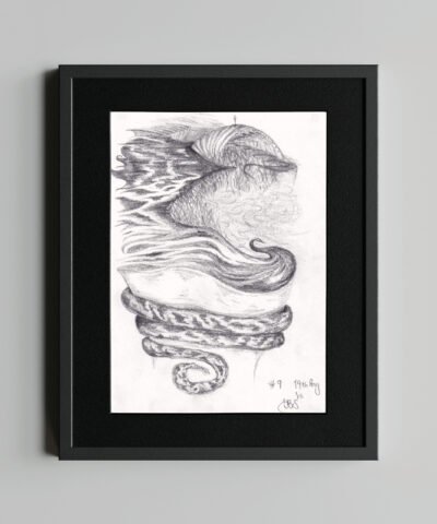 2016-Black-Frame-Eamonn-B-Shanahan-Truth-Beauty-Drawings-#9