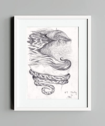 2016-White-Frame-Eamonn-B-Shanahan-Truth-Beauty-Drawings-#9